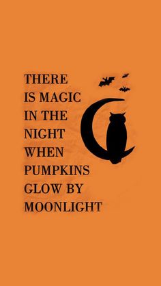 there is magic in the night when pumpkins glow by moonlight and an owl flying over it