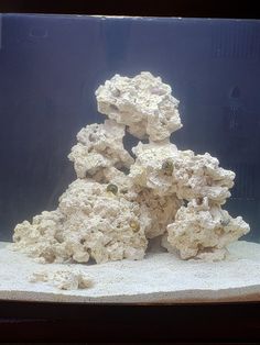 an aquarium filled with lots of white rocks