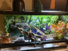 an aquarium filled with different types of plants and animals on top of a shelf next to a lamp