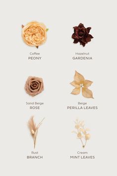 the different types of flowers are shown in this image, with each flower's petals labeled