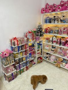 a stuffed animal laying on the floor in a room with shelves full of toys and teddy bears