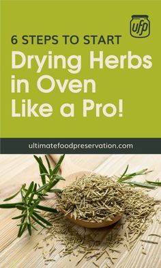 herbs on a wooden table with the title 6 steps to start drying herbs in oven like a pro