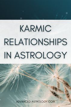 a dandelion with the words karmic relationships in astrology