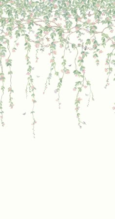 an image of flowers and vines on a white background