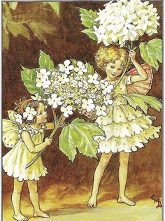 "Fairy nursery print of flower fairy image vintage fantasy art. By Cicely Mary Barker. You will receive the original vintage book plate. Not a modern reproduction. Print: Guelder Rose Fairy Artist: Cicely Mary Barker Style: Fantasy Type: Lithograph Pub: 1995 Size: 10\" x 7 1/2\" Image size: 4 3/4\" x 3 1/4\" SAVE 12 and get FREE SHIPPING With a purchase of $40.00 or more of any combination of my prints. Enter coupon code at checkout. CODE: BUY40SAVE12 This lovely fairy image was carefully remove Flower Fairies Books, Guelder Rose, Fairy Nursery, Rose Fairy, Fairy Images, Fairy Illustration, Cicely Mary Barker, Fairy Pictures, Postcard Art