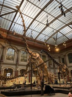 a museum filled with lots of different types of dinosaurs