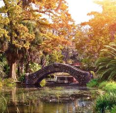 a stone bridge over a body of water surrounded by lush green trees and foliages