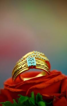 a gold ring sitting on top of a red rose