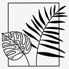 a black and white drawing of a palm leaf in a square frame on a plain background