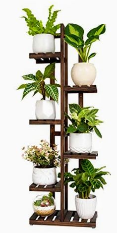 a wooden shelf filled with lots of potted plants