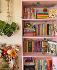 a pink book shelf filled with lots of books next to a potted plant on top of a table