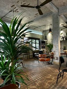 a living room filled with lots of furniture and plants