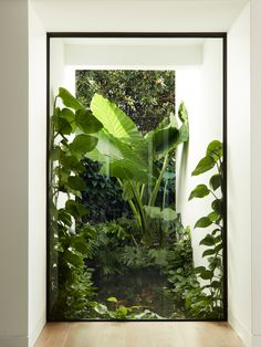 the inside of a room with plants and water