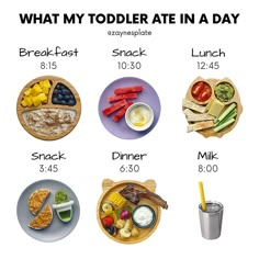 what my toddler ate in a day is on the plate and it's time to eat