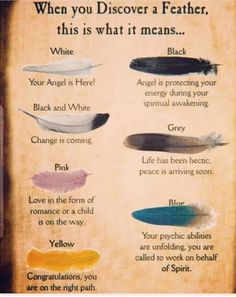 a poster with different types of feathers on it's sides and the words when you discovery a featherer, this is what it means