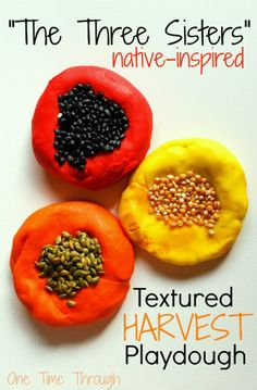 the three sisters'native - inspired textured harvest playdough is featured in this magazine