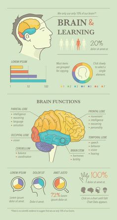 the anatomy of the human brain and how it works infographical poster for kids