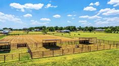 an open field with horses in it