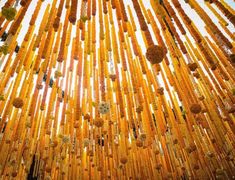 many yellow beads are hanging from the ceiling