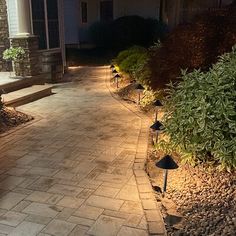 an outdoor walkway lit up at night with lights in the ground and bushes on either side