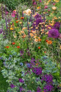 a garden filled with lots of colorful flowers