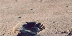 an animal paw prints in the sand