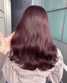 Brown Hair With Hints Of Red, Ash Pink Brown Hair, Berry Brown Hair Color, Chestnut Red Hair, Redish Brown Hair Color, Rose Brown Hair Color, Burgundy Hair Red, Pinkish Brown Hair, Dark Maroon Hair