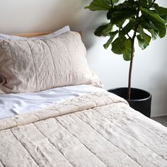 a bed with white sheets and pillows next to a potted plant