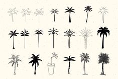 the silhouettes of palm trees are drawn in black and white on a white background