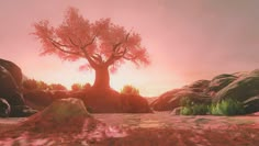 a tree in the middle of some rocks and grass on a sunny day with pink sky