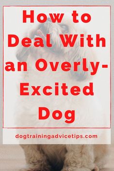 a dog with the words how to deal with an overly excited dog