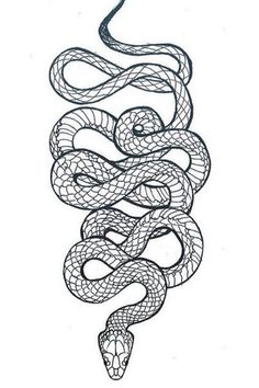 a line drawing of a snake in the shape of a spiral on a white background