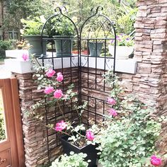 some pink flowers are growing in a planter near a brick wall and gate with potted plants