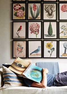 a man laying on top of a couch next to a wall covered in framed pictures