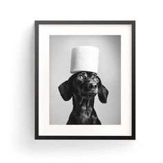 a black and white photo of a dog with a toilet paper hat on its head