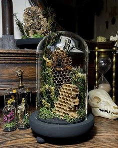 the inside of a glass dome with plants and bees in it on a wooden table