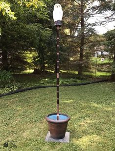 an owl is sitting on top of a pole in the grass next to a potted plant