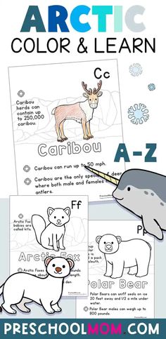 the arctic animals color and learn activity for kids to learn how to draw their names