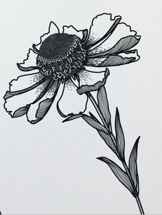 a black and white drawing of a flower