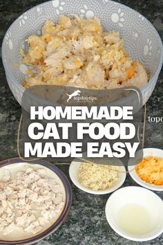 Homemade Cat Food Made Easy Homemade Raw Cat Food, Raw Cat Food Diet, Cat Food Recipe, Cat Food Recipes, Raw Cat Food, Diy Cat Food, Healthy Cat Food, Raw Cat Food Recipes, Homemade Cat Food