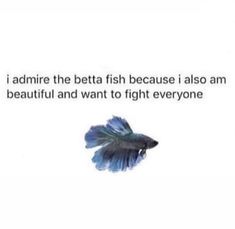 @gnarlyastrology on ig Fish Oc, In Memes, Have A Laugh, Betta Fish, Bones Funny, Funny Posts, Make Me Smile, Really Funny, I Laughed