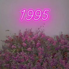 a pink neon sign that reads,'955'in front of purple flowers