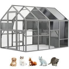 several different types of cats and dogs in front of a small house with glass windows