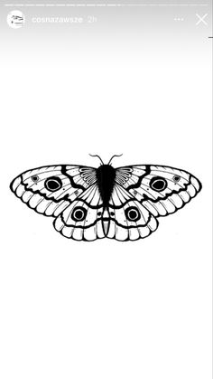 a black and white photo of a butterfly