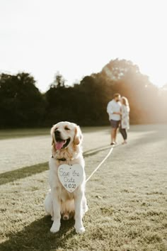 a couple walking their dog on a leash with a heart shaped sign in the grass