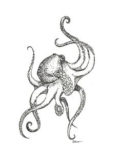 an ink drawing of an octopus