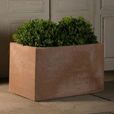 a planter that has some plants in it