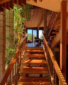 the stairs are made of wood and have plants growing on them