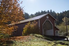 a red barn sitting on top of a lush green hillside next to trees with yellow leaves