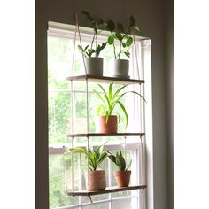 a window sill filled with potted plants on top of it's windowsill